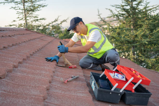 Best Roof Gutter Cleaning  in Manly, IA
