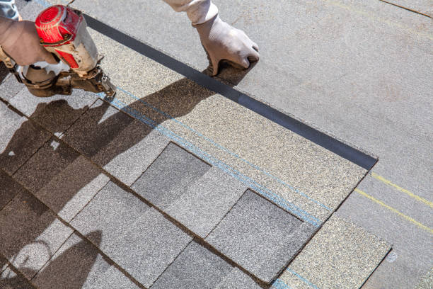 Best Roof Gutter Cleaning  in Manly, IA